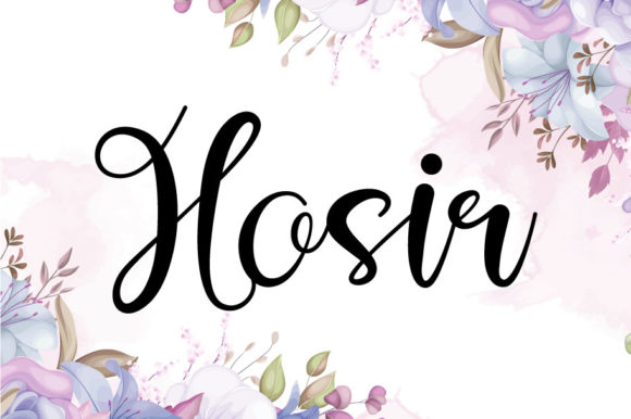 Hosir Script Font for Modern Web Design