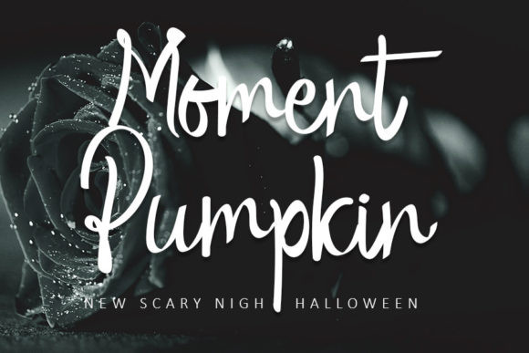 Moment Pumpkin Script Font for Small Business Branding
