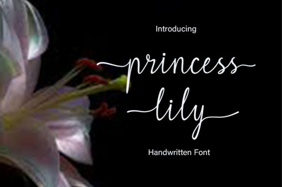 Princess Lily: An Elegant Script Font for Modern Branding