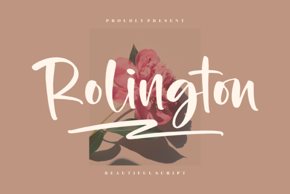 Rolington Script Font for Modern Web Design
