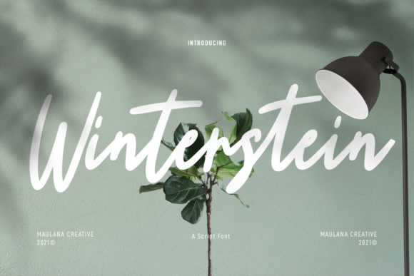 Winterstein Font Review for Elegant Campaigns